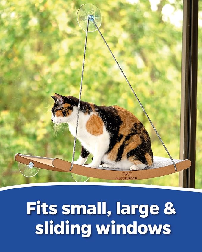 Cat Window Hammock for Large Cats – Strong Suction Cup Cat Window Perch Bed, Durable Eco, Washable Cover, Space Saving Window Seat for Indoor Cats (XL) - Image 4
