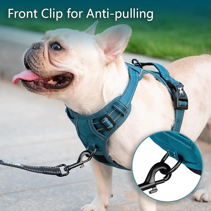 PoyPet No Pull Dog Harness, Reflective Vest with 2 Leash Clips & Handle | Lockable Neck Release Buckle, No Choke, Adjustable, Soft Padded, for Walking Training, Tumalo Teal, Large - Image 3