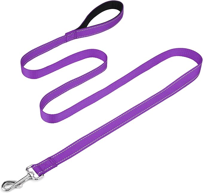 FunTags Reflective Nylon Dog Leash for Medium & Large Dogs, 6FT for Walks | Comfortable Padded Grip, Stay Safe at Night, 360° Anti-Tangle Swivel, for Dog Parks & Trails, Purple by FUNSTARTSHERE