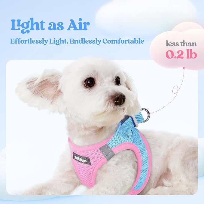 rabbitgoo Dog Harness Small Sized and Leash Set, Step-in Puppy Pet Vest | Light, Soft, Breathable Air Mesh, Easy on and Remove with Hook & Loop, Secure Reflective for Walking, Blue & Light Pink S - Image 4