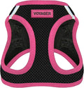 Voyager Step-in Air Dog Vest Harness - Black/Pink Trim, X-Small | 13 - 14.5" in Chest, Reflective Bands, All Weather Breathable Air Mesh, Cats Compatible, Lightweight, Fast Drying by BestPetSuppliesLLC