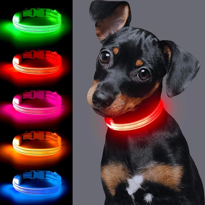 Light up Dog Collar for Small Dog,Vizpet XS Adjustable Size Nylon Collar USB Rechargeable Bright Safety Pet Collar for Cats Dogs (Red，XS) - Image 2