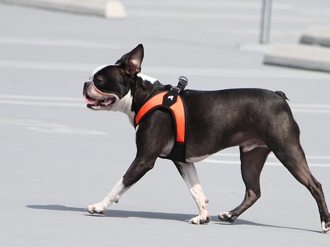 Gooby Escape Free Easy Fit Dog Harness, Step-in, Orange, Large | Patented escape-free frame; Contracts if they back out; Step-in easy on/off; Machine washable; Light POM leash ring - Image 7