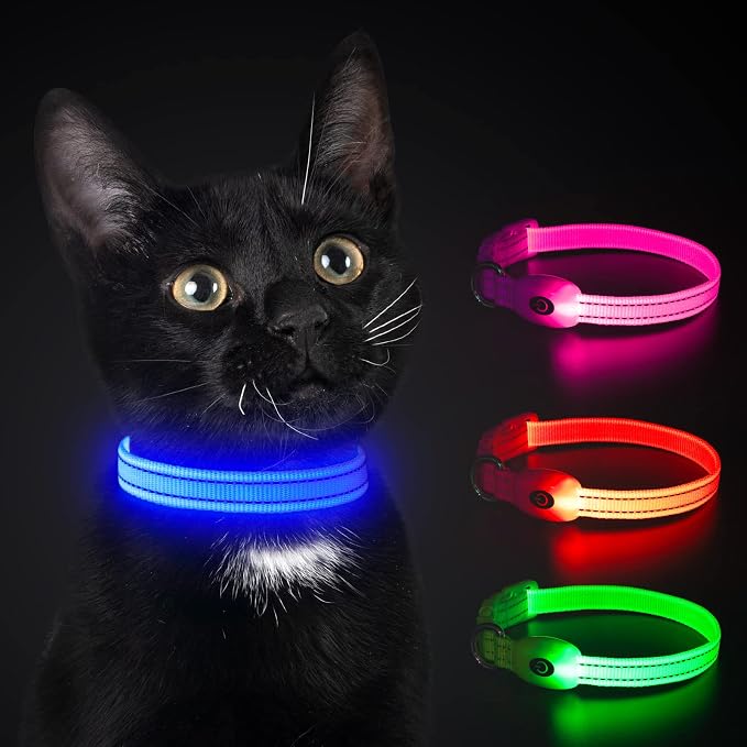 YFbrite LED Dog Collar XS, Lightweight Cat Collar Light, Comfortable Light Up Puppy Collars, USB Rechargeable Adjustable Puppy Walking Safety Light (Blue, XS) - Image 3