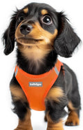 rabbitgoo Step-in Small Dog Harness, Puppy Vest for Small Sized Pet | Easy Put on and off, Lightweight, Soft, Breathable Quick-Dry Air Mesh for Comfortable Secure Walking, Orange XXS by rabbitgoo