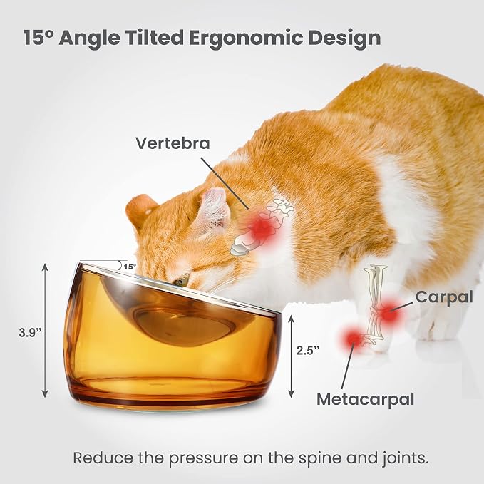 Felli Pet Oblik Whisker Fatigue Cat Food Bowl Raised Stainless Steel Shallow Dish, Pet Design Anti Vomit Tilted Metal Plate Feeder Elevated Acrylic Base for Treats Storage(Gold, 0.5 Cups Shallow Dish) - Image 8
