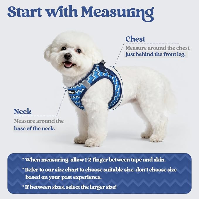 rabbitgoo Dog Harness Small Sized and Leash Set, Step-in Puppy Pet Vest | Light, Soft, Breathable Air Mesh, Easy on and Remove with Hook & Loop, Secure Reflective for Walking, Blue Zigzag XXS - Image 2