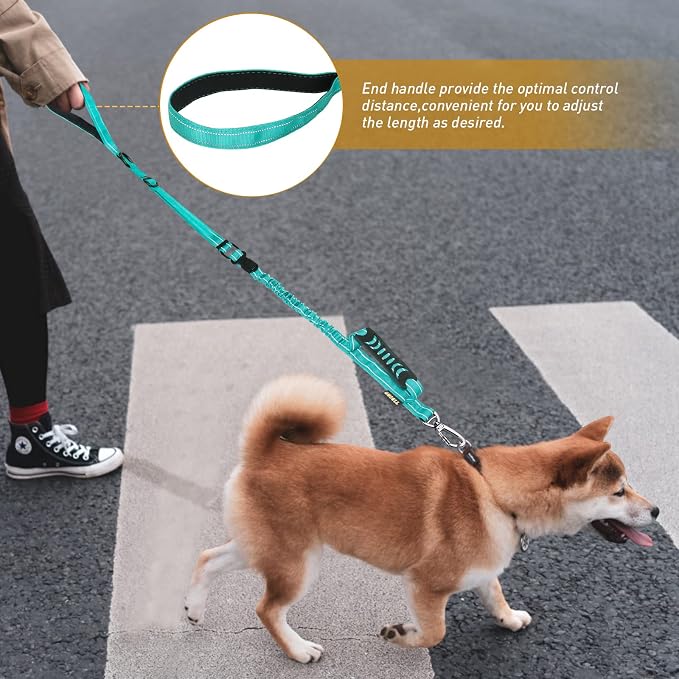 AUBELL Tactical Dog Leash Heavy Duty,4-6ft No Pull Bungee Leash,Teal | Reflective Dog Leash for Medium Large Dogs with Comfortable Padded Double Handle,Car Seat Belt,360 Degree Rotating Carabiner - Image 9