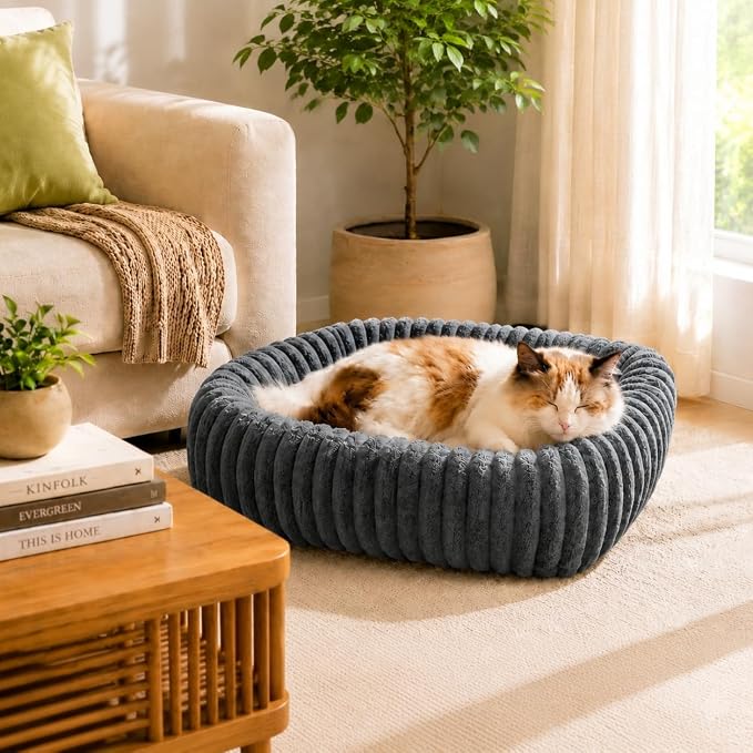 FURTIME Dog Bed for Small Dogs, Cat Beds for Indoor Cats Washable, Orthopedic Rectangle Soft Calming Puppy Bed with Removable Cover, Durable Pet Cuddler with Anti-Slip Bottom, Grey, S (20"x19"x6") - Image 5
