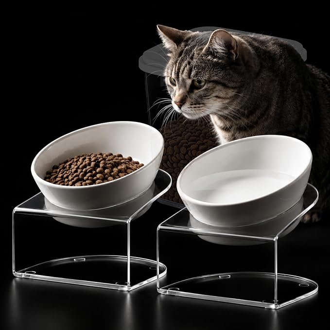 LivLab Mker Elevated Cat Bowls, Tilted Melamine, White, 2 Pack | Two tilted melamine bowls support comfortable feeding for cats, kittens, flat-faced pets, and small dogs; white finish. by LivLabMker