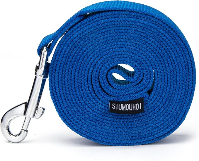 Strong Durable Nylon Dog Training Leash, 1 Inch Wide Traction Rope, 6 ft 10ft 15ft Long, for Small and Medium Dog (Blue, 10 Feet) - Image 6