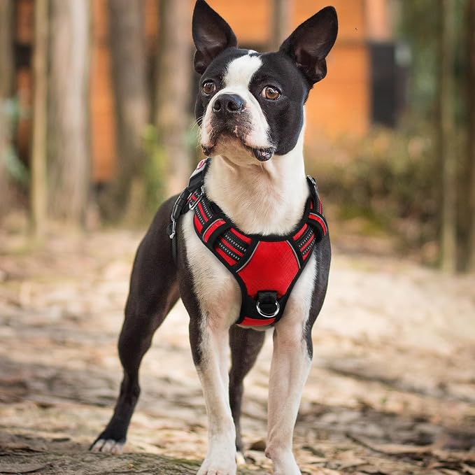 rabbitgoo Dog Harness Small Sized, No Pull 3 Buckles Easy On & Off | Soft Padded, Walking with Control Handle, Adjustable and Reflective, Red, Small - Image 8