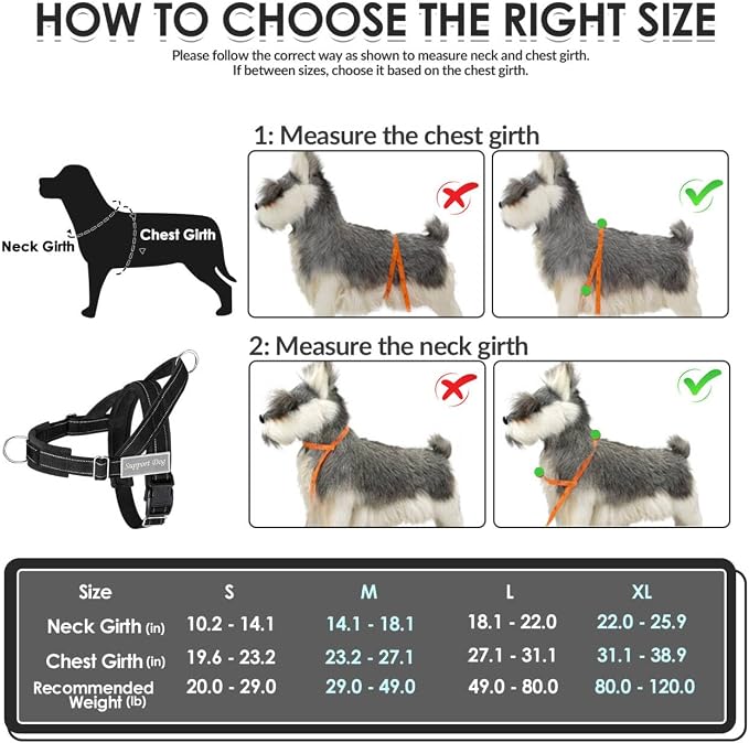 SlowTon No Pull Dog Harness with Front Clip - Heavy Duty, Soft Padded | Neck & Chest Adjustable, Tactical Pet Vest and Leash Set for Large Medium Sized Dogs, for Easy Walk & Training, Black L - Image 6