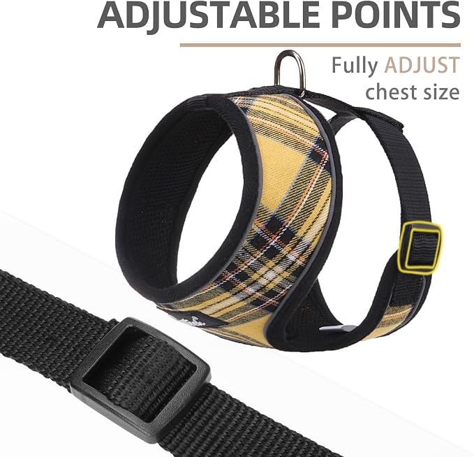 PUPTECK Small Dog Harness and Leash Set No Pull for XS XXS Sized Dogs Puppy | Escape Proof No Choke Pet Cat Adjustable Soft Padded Walking Vest - Image 2