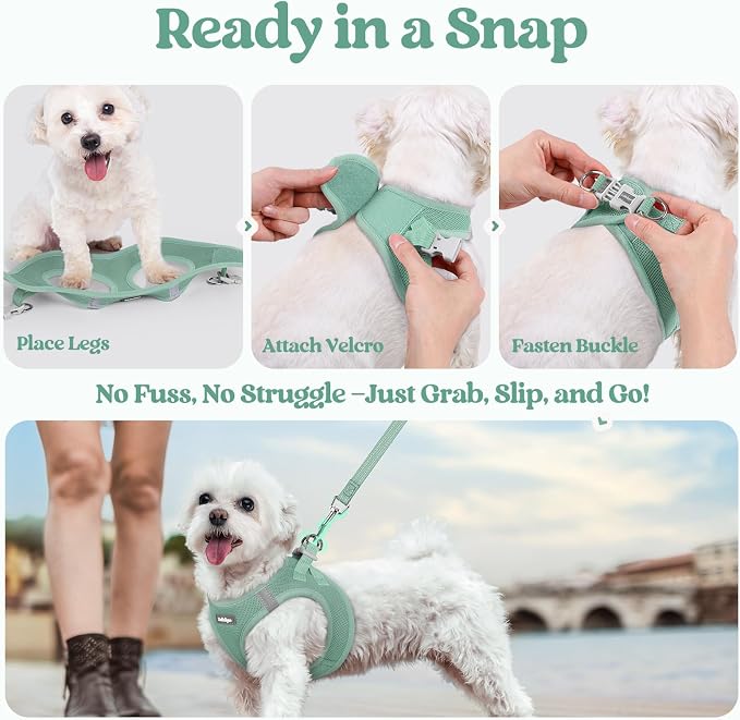 rabbitgoo Dog Harness Small Sized and Leash Set, Step-in Puppy Pet Vest | Light, Soft, Breathable Air Mesh, Easy on and Remove with Hook & Loop, Secure Reflective for Walking, Moss Green S - Image 5