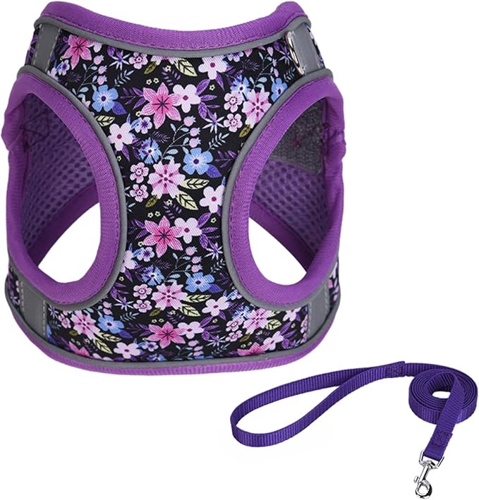 Step in Dog Harness No Pull Flower Adjustable Soft Mesh Harness | Reflective Pet Vest Harness and Leash Set for Small Medium Dogs by KocaPlye