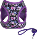 Step in Dog Harness No Pull Flower Adjustable Soft Mesh Harness | Padded Reflective Pet Vest Harness and Leash Set for Small Medium Dogs by KocaPlye