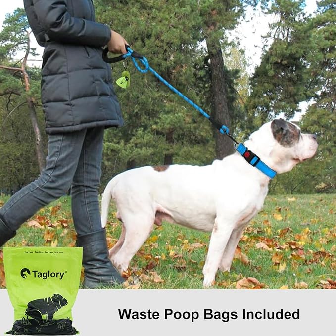 Taglory Rope Dog Leash for Medium Large Dogs, 5 FT Padded Handle, Blue | Climbing Rope for Strong Pullers, Reflective for Night Walks and Training, Comfortable Grip, Anti-tangle Swivel Clip 1/2 inch - Image 2
