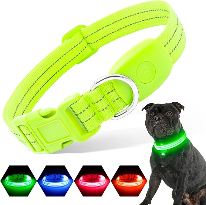 Light Up Dog Collars Rechargeable, Reflective LED Glow Dark Dog Collar for Small Medium Large Dogs, Adjustable Pet Dog Lights for Safe Night Walk-Green, Medium by PZRLit