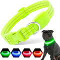 Light Up Dog Collars Rechargeable, Reflective LED Glow Dark Dog Collar for Small Medium Large Dogs, Adjustable Pet Dog Lights for Safe Night Walk-Green, Medium by PZRLit