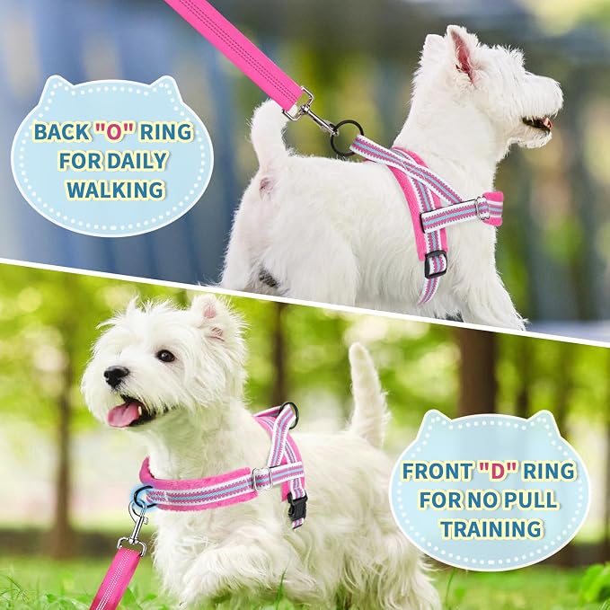 Lukovee Small Dog Harness and Leash Set, No Pull Soft Padded Vest | Both Neck & Chest Adjustable, Reflective, Puppy Harness with 4ft Lightweight Anti-Twist Dog Leash for Small Dogs (Fu,XXS) - Image 7