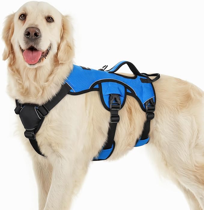 rabbitgoo Escape Proof Dog Harness for Large, No Pull with Lift Handle | No Escape, Full Soft Padded, Reflective Adjustable Vest, Leash Clip for Walking Hiking Training, Blue, Large by rabbitgoo