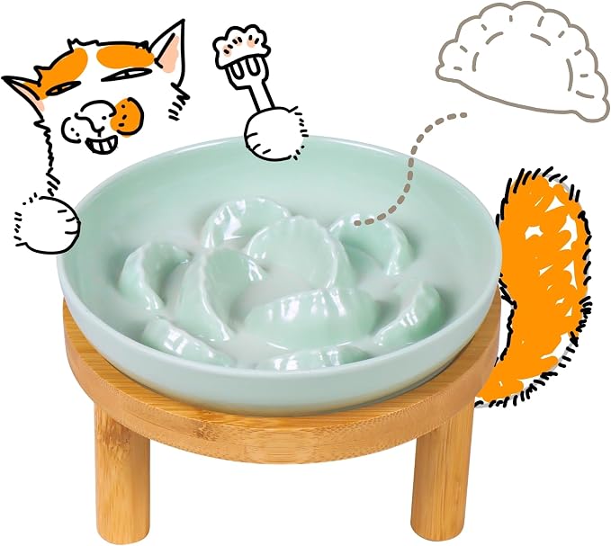 Slow Feeder Bowl, 6.3″ Elevated Cat Bowl with Stand, Melamine Wide Shallow Food Bowl, Whisker-Friendly Raised Plate, Wet Food Feeder for Slow Eating (Green) by FullCharm