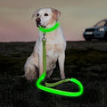 Illumifun LED Dog Leash, USB Rechargeable Pet Leash Glow in the Dark, 47.2inch Nylon Light Dog Leash for Your Dog Walking at Night (Green Ⅰ) by Illumifun