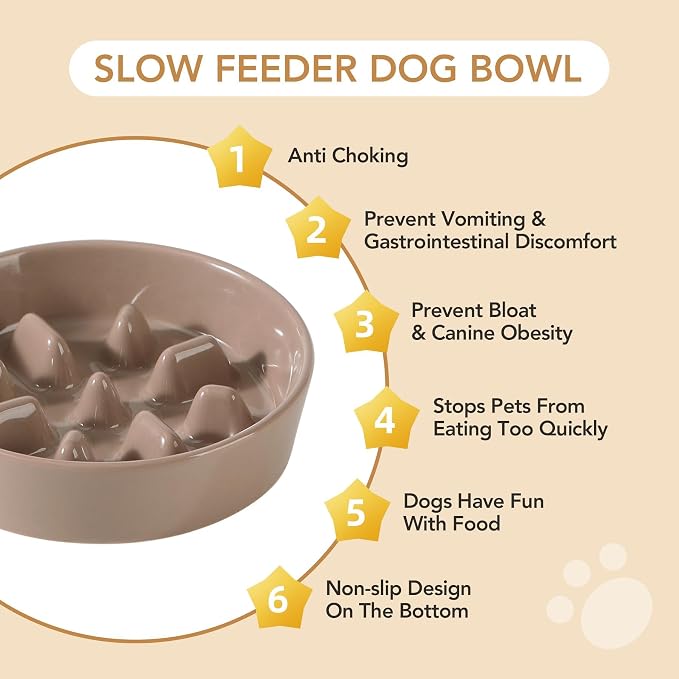 Havniva Dog Bowls Slow Feeder, Ceramic Slow Feeder Dog Bowls for Fast Eater | 1.2 Cups Dog Food Bowl Puzzle Feeder, Slow Feeding Bowls for Small & Medium Breed, Non-Slip Base, Anti-Choking - Image 6