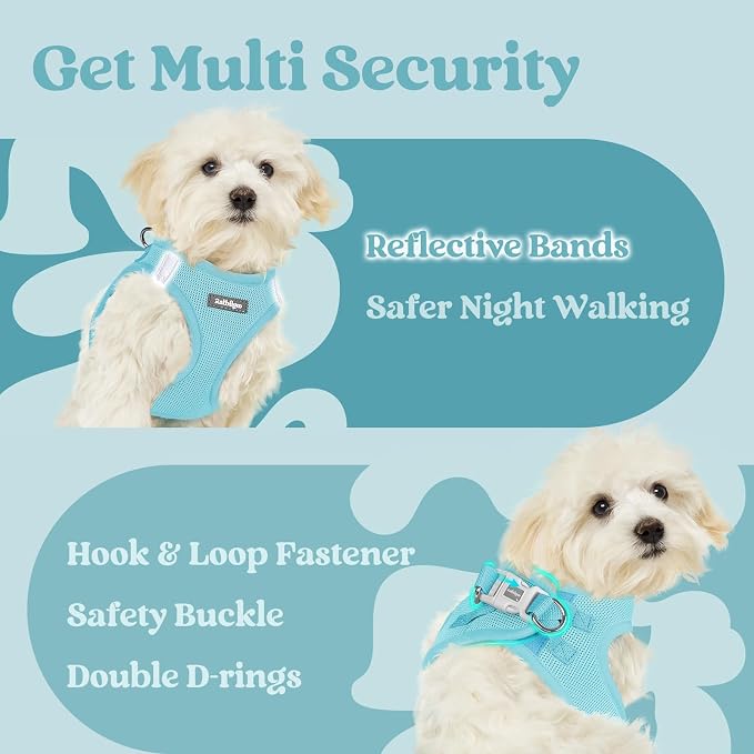 rabbitgoo Step-in Small Dog Harness, Puppy Vest for Small Sized Pet | Easy Put on and off, Lightweight, Soft, Breathable Quick-Dry Air Mesh for Comfortable Secure Walking, Mint Blue S - Image 7