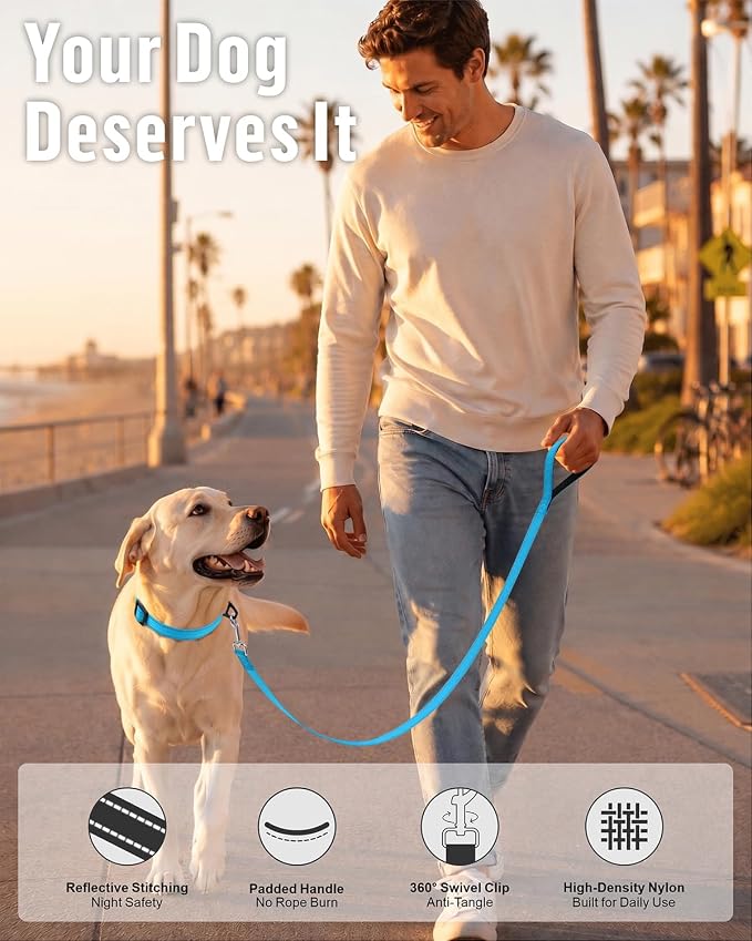 FunTags Reflective Nylon Dog Leash for Medium & Large Dogs, 6FT for Walks | Comfortable Padded Grip, Stay Safe at Night, 360° Anti-Tangle Swivel, for Dog Parks & Trails, Sky Blue - Image 6