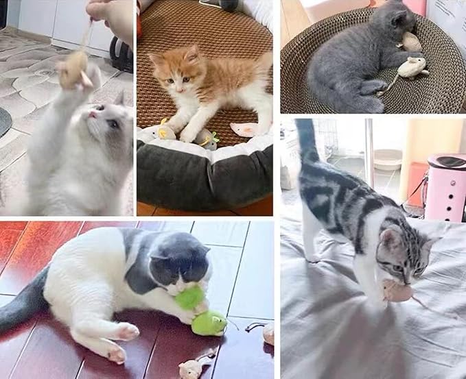 Catnip Toy, Cats Mouse Plush Cat Toys, Cat Mice & Animals Toys for Indoor Cats and Kittens, Cat Chew Toy for Exercise for Pet Cat Kitten Kitty (6 Packs) - Image 6