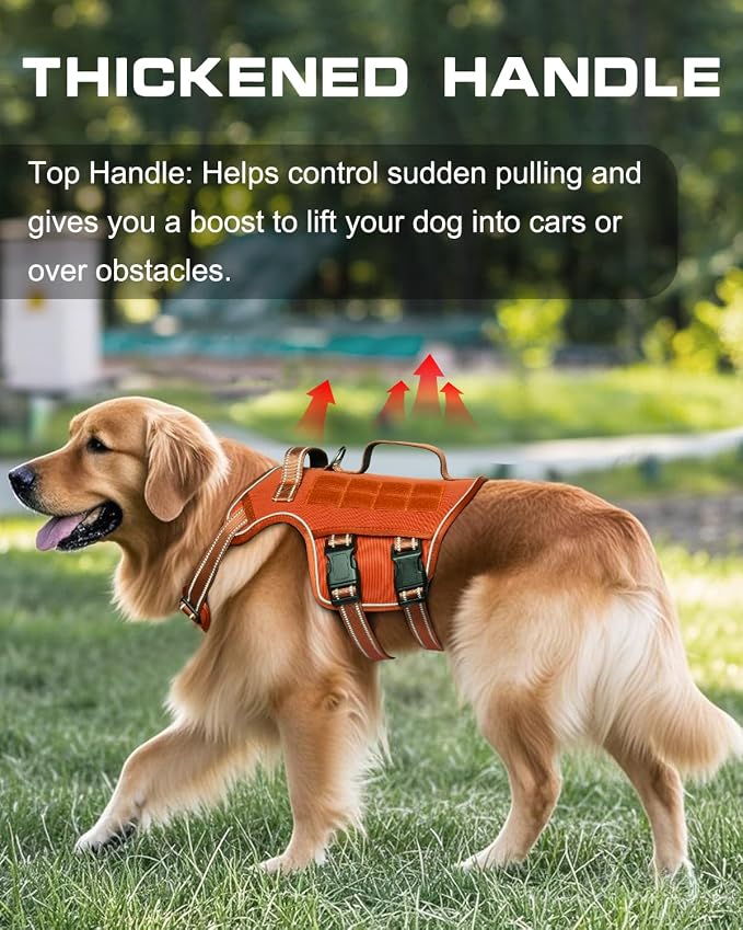 Dog Harness, Tactical No Pull for Small Sized Dog with Handle | Breathable Soft Padded, Adjustable, Reflective, Molle System, Heavy Duty, No Choke for Walking Training, Orange Small - Image 2