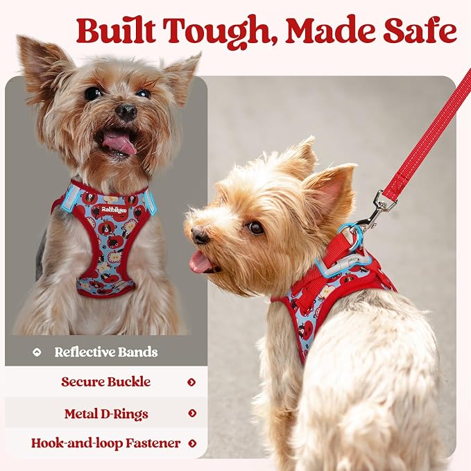 rabbitgoo Dog Harness Small Sized and Leash Set, Step-in Puppy Pet Vest | Light, Soft, Breathable Air Mesh, Easy on and Remove with Hook & Loop, Secure Reflective for Walking, Apple Pups XXS - Image 8