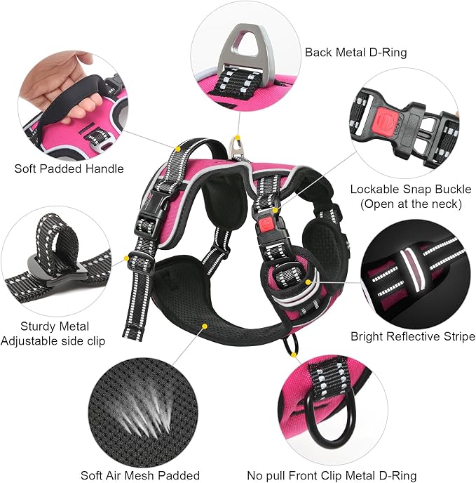 Timos Dog Harness, Front Clip No Pull Medium Sized with Handle, Rosy, M | No Choke, Adjustable Reflective Soft Padded, Quick Release 3 Buckles, Easy On & Off, Front & Back 2 Clips for Outdoor Walking - Image 4