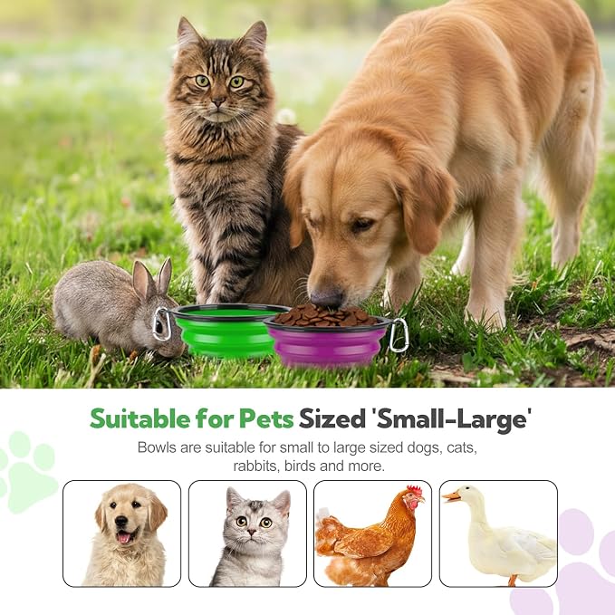 Collapsible Dog Bowl Large 34oz, Travel Dog Water Bowl Portable | 2 Pack, 2 Carabiner Clips, Silicone Travel Dog Bowl Foldable, Feeding Watering Dish Bowl, for Parking, Walking, Camping - Image 9