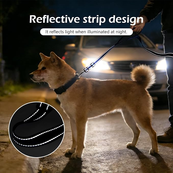 Reflective Double Handle Dog Leash for Large Medium Small Dogs (RB, S) | Heavy Duty, Adjustable with Soft Padded Handles, Traffic Control for Training, Walking, Running - Image 5
