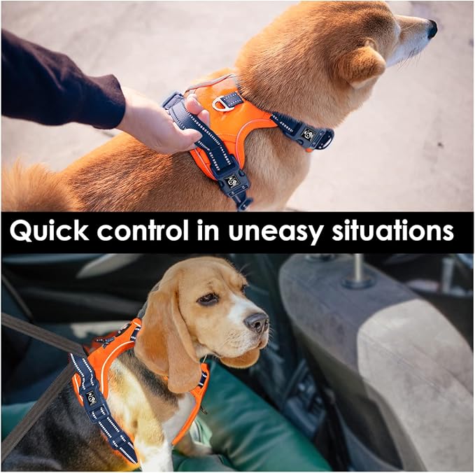 No Pull Dog Harness, Unique Colors Reflective Adjustable Dog Vest | with Soft Training Handle Metal Clips for Small Medium Large Dogs (Orange Base & Blue Straps,L) - Image 5