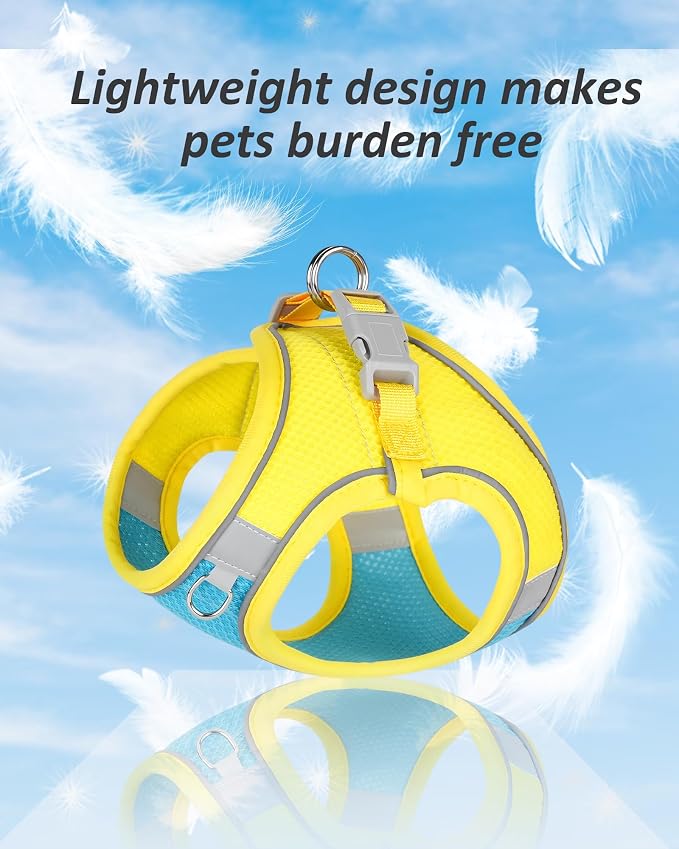 Solmoony Dog Harness for Small Medium Dogs No Pull, Puppy Harness and Leash Set, Puppy Harness for Small Dogs, Step in Harness for Small Dogs, Small Dog Harness, mesh Dog Harness. (Blue Yellow, XS) - Image 3