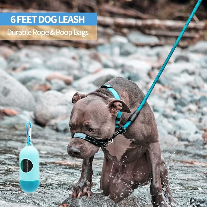 2/4/5/6 FT Dog Leash with Comfortable Padded Handle and Highly Reflective Threads for Small Medium and Large Dogs (6FT-1/2'', Blue) - Image 5