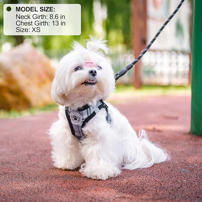 BEAUTYZOO Small Dog Harness and Leash Set, No Pull Puppy Pet Vest- Gray, S | Step-in Easy On/Off, All Season Breathable Mesh,Escape-Proof Hook & Loop,Lightweight Reflective,No Choke,Easy Walking Control - Image 8