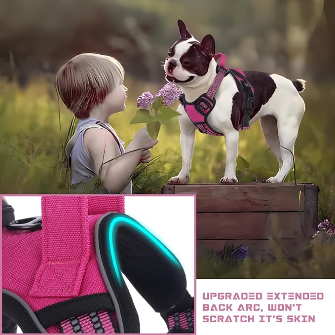 BUMBIN Dog Harness for Large Dogs, No Pull Adjustable No Choke Pet Vest with Dog Leash Fit Smart Reflective Pet Walking Harness for Training Easy Control Soft Handle Rose Red M - Image 5