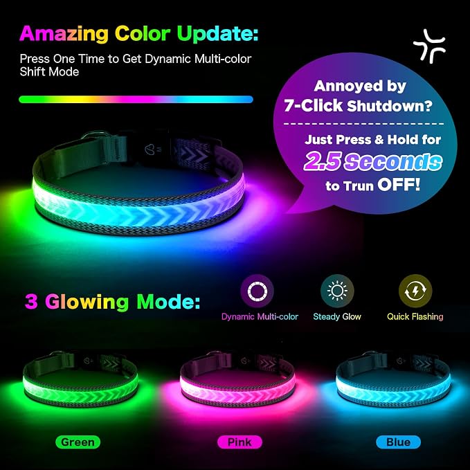Light up Dog Collar, Multicolor LED Dog Collar Type-C Rechargeable, High Visibility Rainbow Gradient Glow & 7 Light Modes, Adjustable Waterproof Dog Safety Collar for Night Walking (Small) - Image 2
