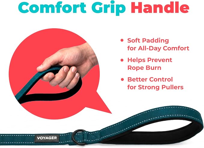Best Pet Supplies Voyager Nylon Dog Leash - 6ft Blue, Large | 6ft in Length, 1" in Width, Reflective, Soft Neoprene Handle, Heavy Duty Metal Clips for Running, Walking & Training - Image 5
