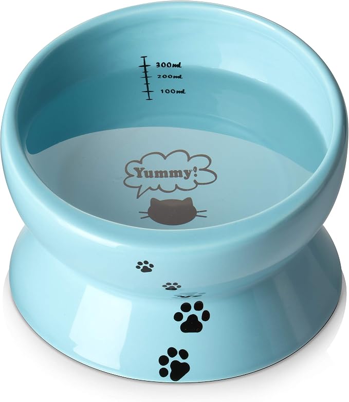 Y YHY Ceramic 15 Ounce Slanted Cat Food Water Bowl, Lake Blue by YYHY
