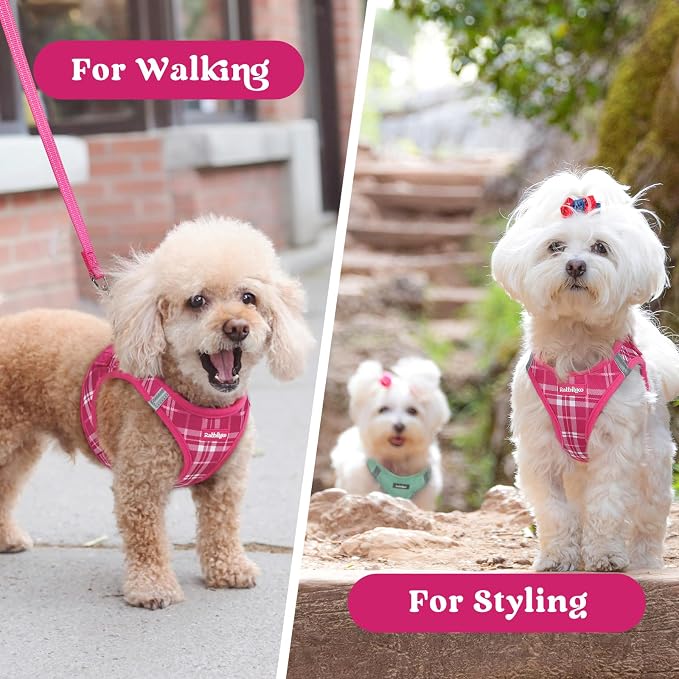 rabbitgoo Step-in Small Dog Harness, Puppy Vest for Small Medium Sized Pet | Easy Put on and off, Lightweight, Soft, Breathable Quick-Dry Air Mesh for Comfortable Secure Walking, Rose Red Plaid L - Image 9
