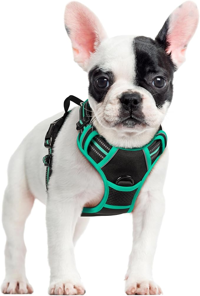 rabbitgoo Dog Harness, No Pull for Small Dogs with 2 Leash Clips, Pet Vest | No Choke with Handle, Adjustable Soft Padded, Reflective, Easy Control for Walking, Black & Turquoise, Small by rabbitgoo