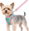 rabbitgoo Dog Harness Small Sized and Leash Set, Step in Soft Vest | Breathable Mesh, Easy Wear with Hook & Loop, Light and Reflective for Walking, Multi-colored, Teal & Pink, XS by rabbitgoo