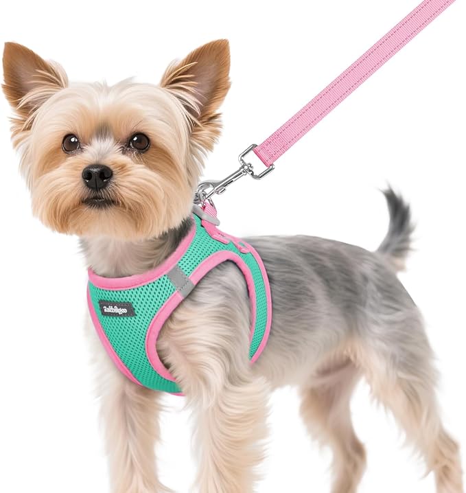 rabbitgoo Dog Harness Small Sized and Leash Set, Step in Soft Vest | Breathable Mesh, Easy Wear with Hook & Loop, Light and Reflective for Walking, Multi-colored, Teal & Pink, XS by rabbitgoo