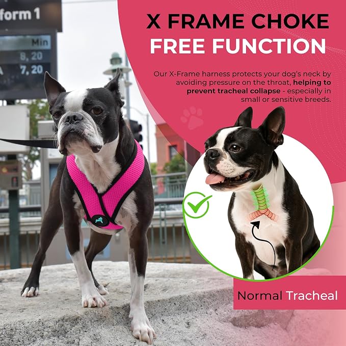 Gooby Comfort X Head-in Dog Harness, Choke-Free, Flamingo Pink, Large | Patented choke-free X-frame; Secure head-in fit; Lightweight breathable mesh; Back metal D-ring; Machine washable - Image 5